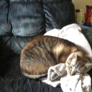 Meet your Posher, Jonathan